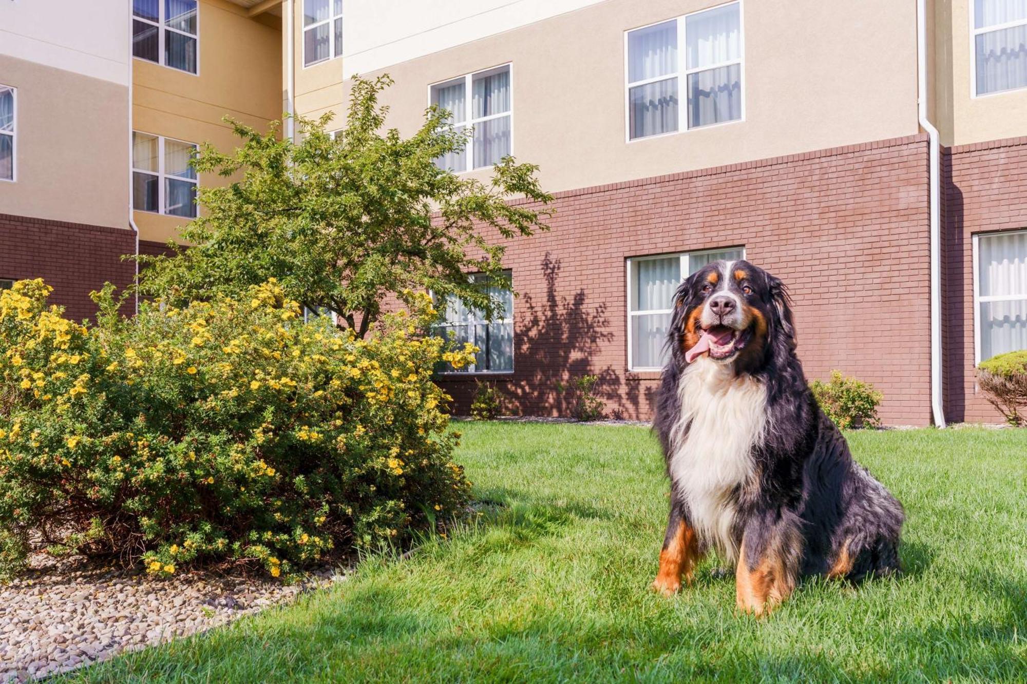 Homewood Suites Rochester-Henrietta Eksteriør bilde